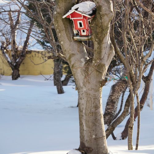 Norwegisches Vogelhaus