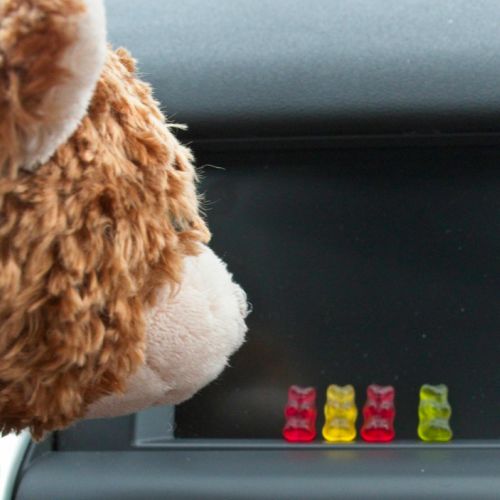 Einer der Mitfahrer findet neue Freunde
